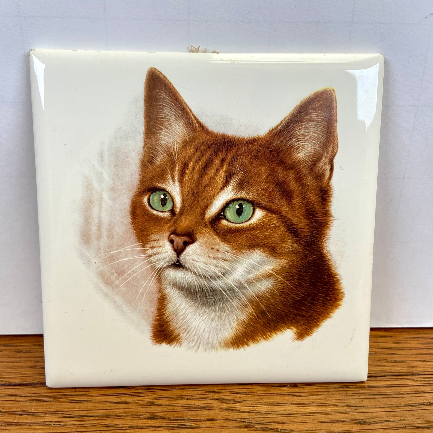Vintage tegel rode kat