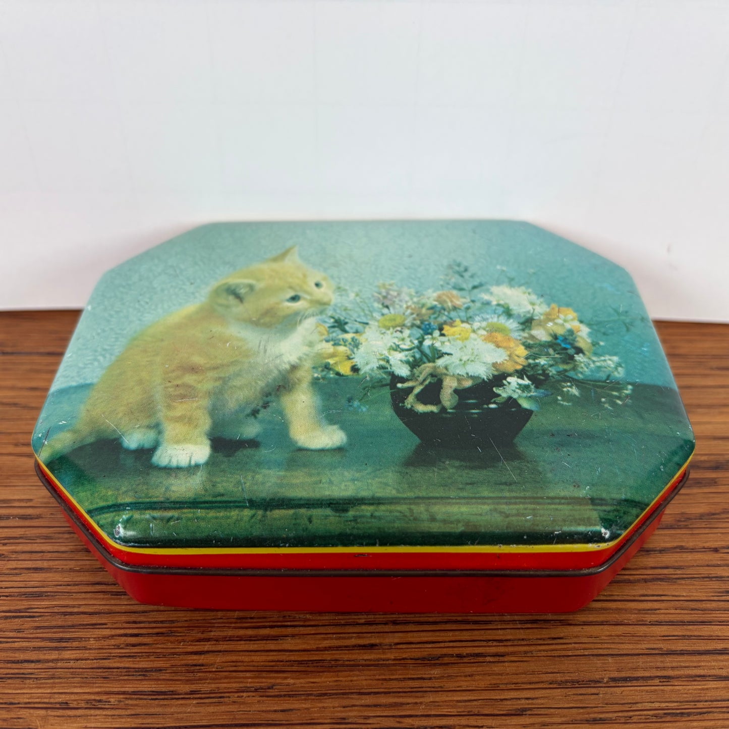 Vintage blikje rode kat