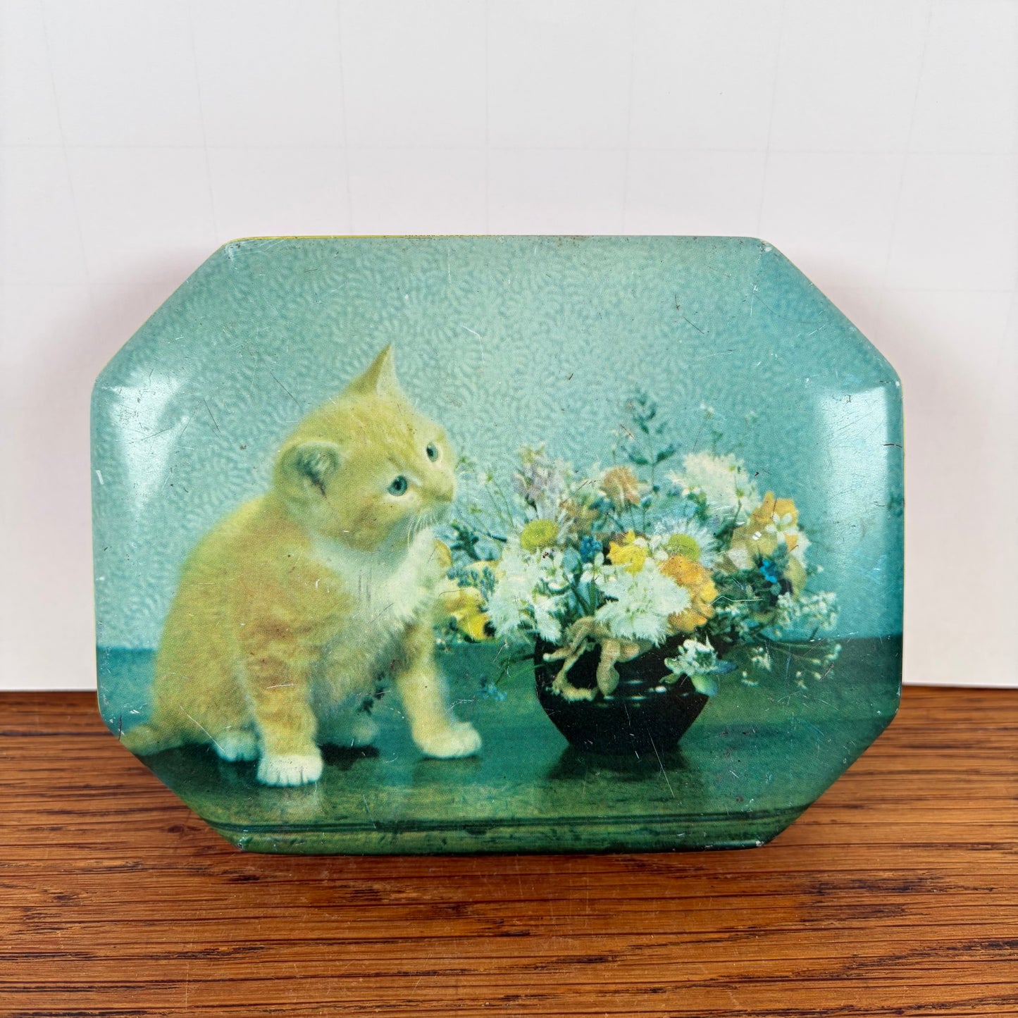 Vintage blikje rode kat