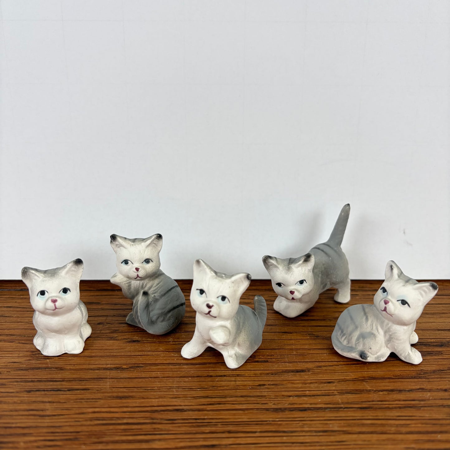 5 kleine katjes