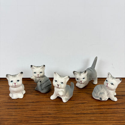 5 kleine katjes
