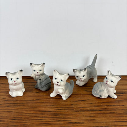 5 kleine katjes