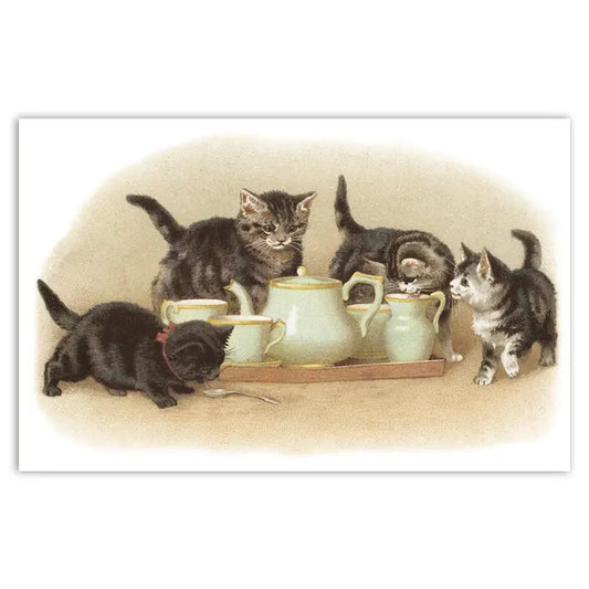 Kaart katten Tea Time