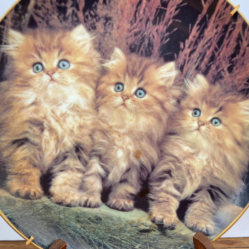 Vintage katten wandbord