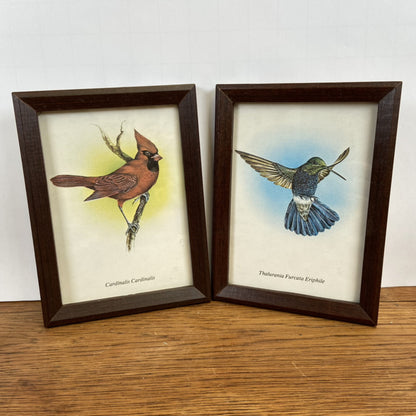 Set van 2 vogel schilderijen