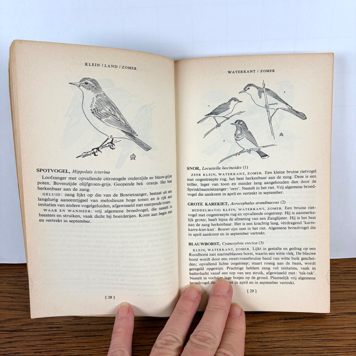 Vintage veldgids voor vogels Phoenix Pockets