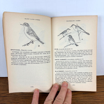 Vintage veldgids voor vogels Phoenix Pockets