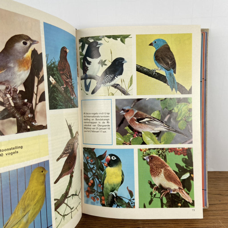 Maandblad onze vogels 1969