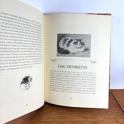 Vintage boek Twee vrouwen over Katten Stellweg & Ronner