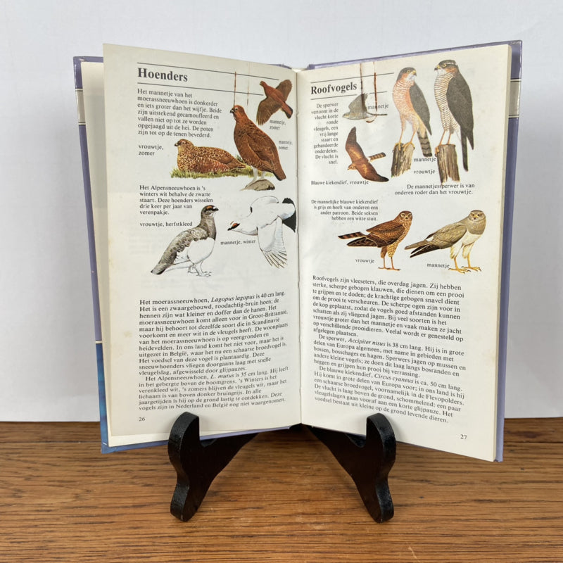Vintage vogelboek