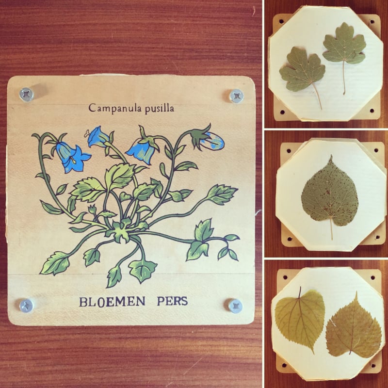 Vintage bloemenpers