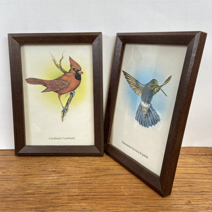Set van 2 vogel schilderijen