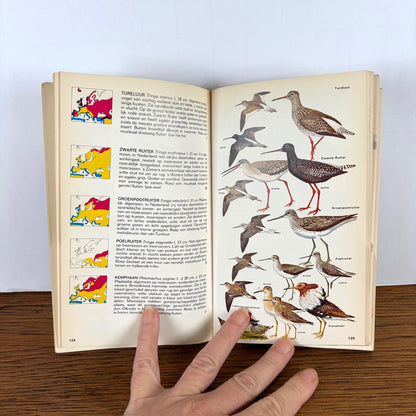 Vintage Elseviers gids van de vogels van Europa 1970