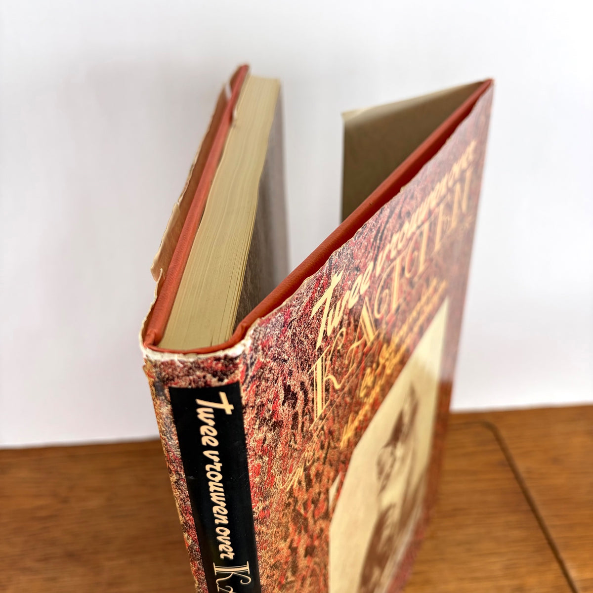 Vintage boek Twee vrouwen over Katten Stellweg & Ronner