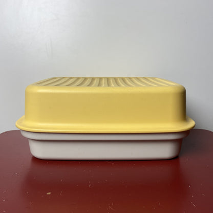 Vintage tupperware brooddoos