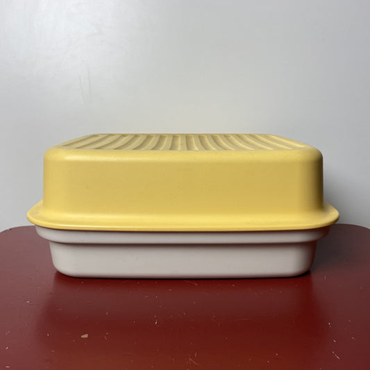 Vintage tupperware brooddoos