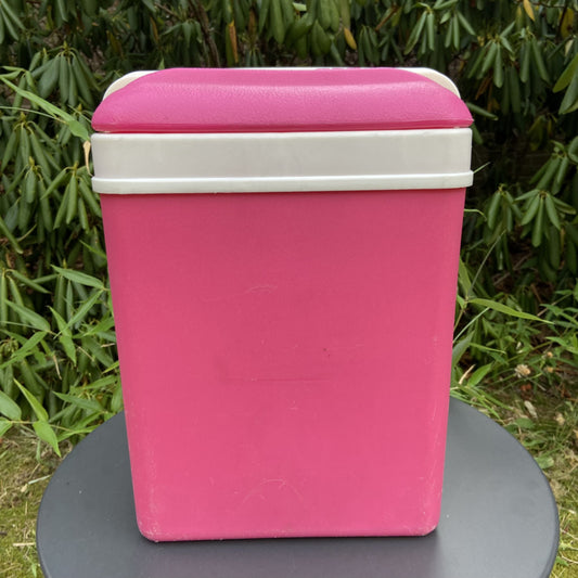 Vintage koelbox roze