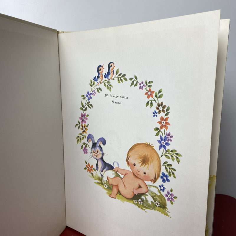 Vintage baby boek Boek van Ikke