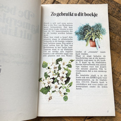 De beste kamerplanten uit Libelle