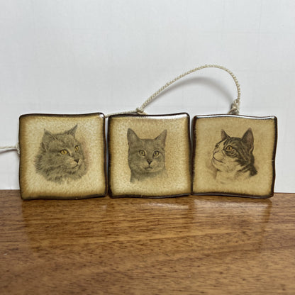 Vintage tegeltjes met katten